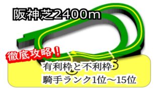 阪神芝2400m
