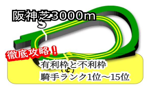 阪神芝3000m